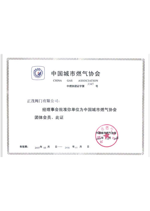 中国燃气协会会员证书